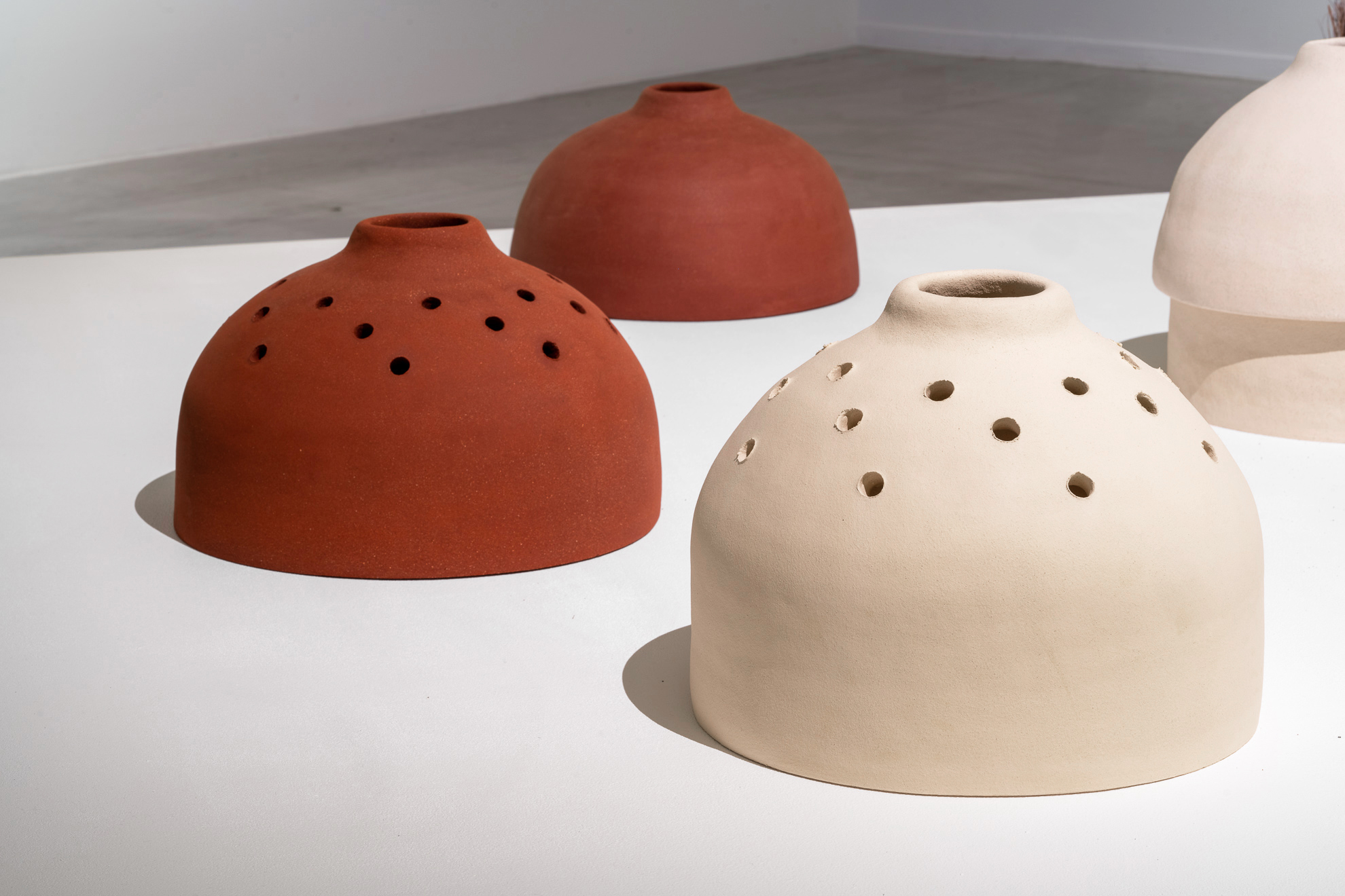 elvira voynarovska dda centre val de loire