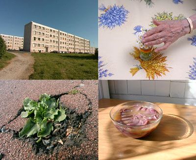 laetitia bourget dda centre val de loire