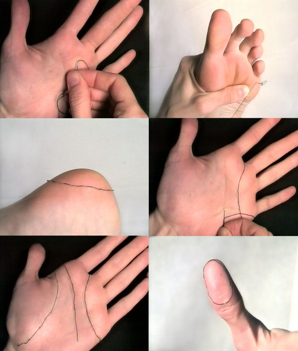 laetitia bourget dda centre val de loire