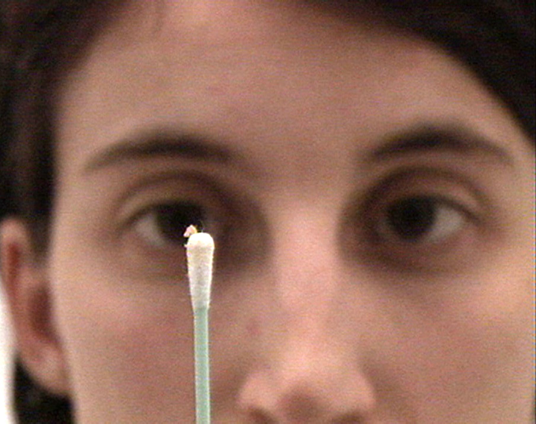 laetitia bourget dda centre val de loire