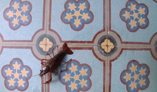 laetitia bourget dda centre val de loire