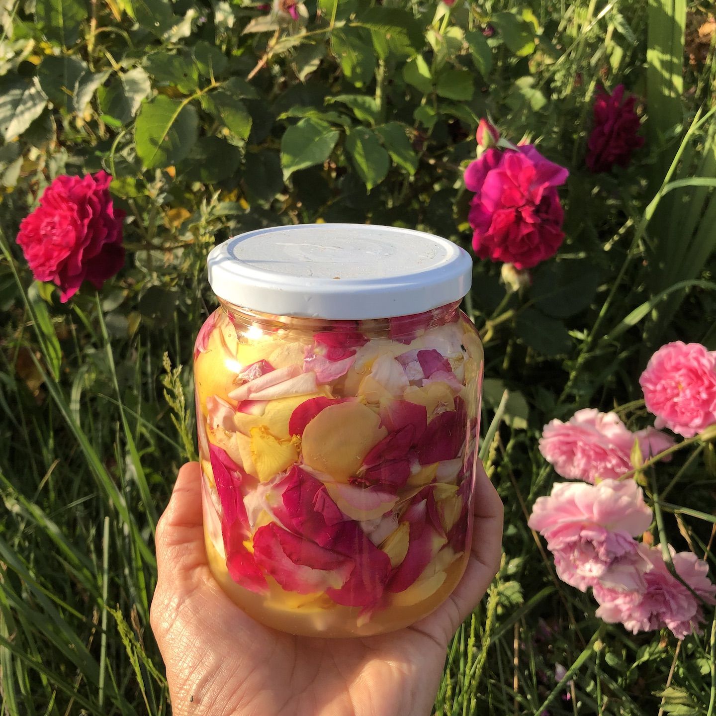 laetitia bourget dda centre val de loire