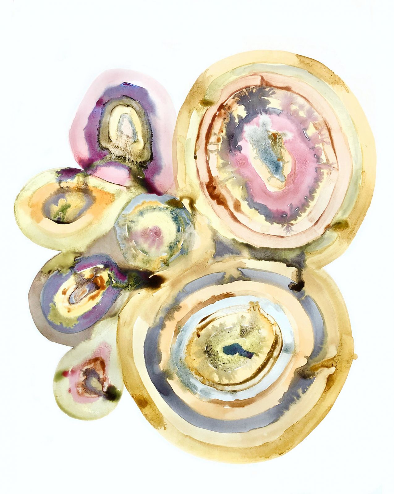 laetitia bourget dda centre val de loire