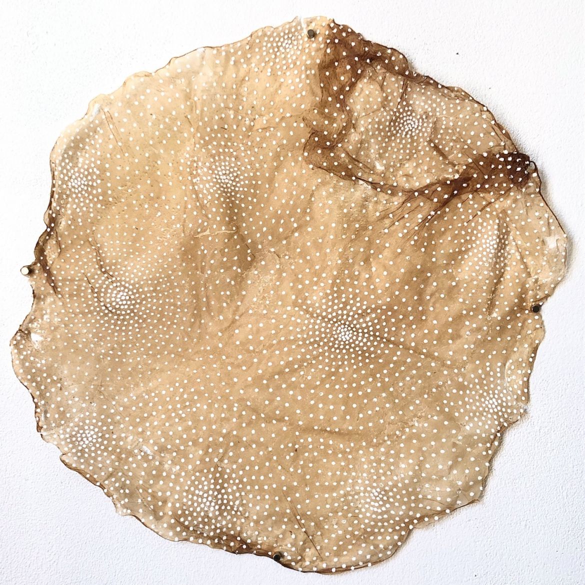 laetitia bourget dda centre val de loire