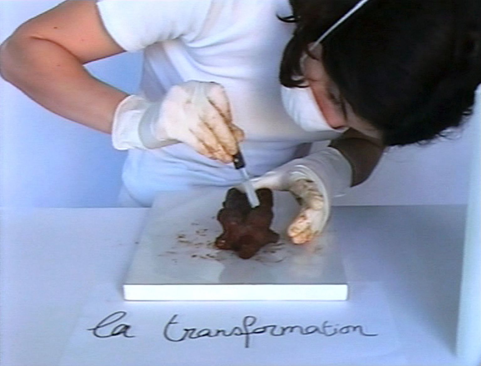 laetitia bourget dda centre val de loire