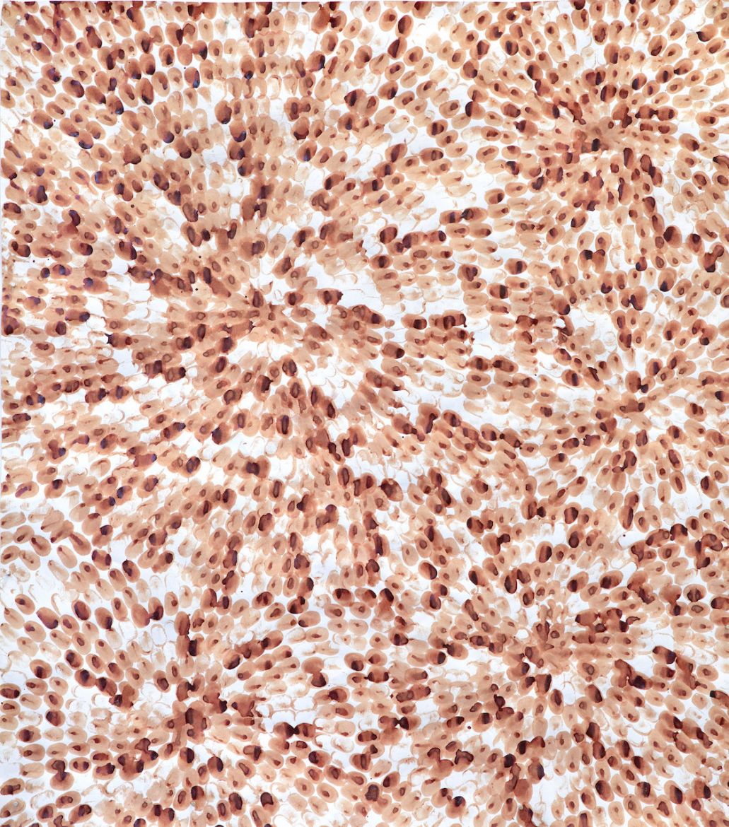 laetitia bourget dda centre val de loire