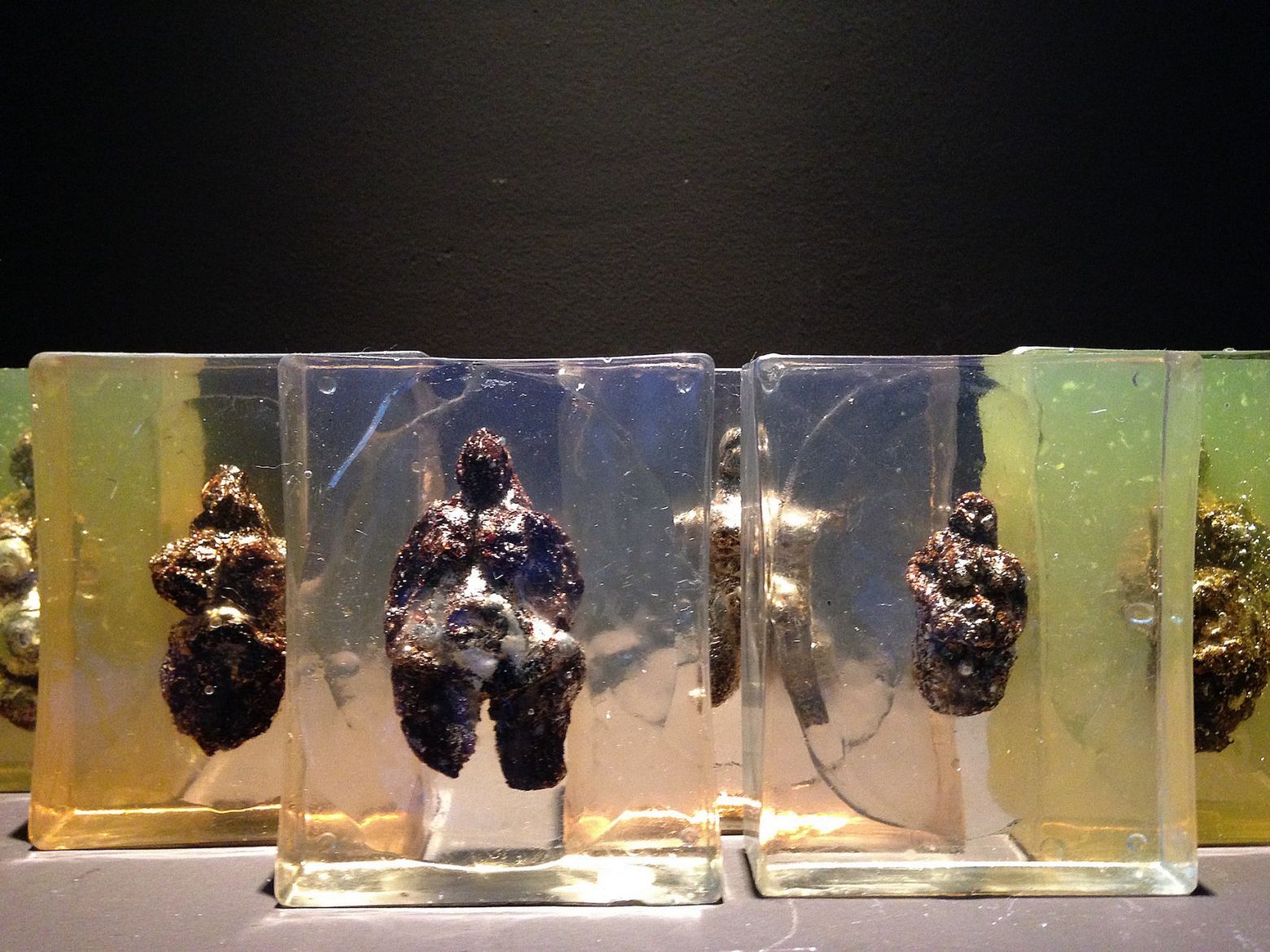 laetitia bourget dda centre val de loire