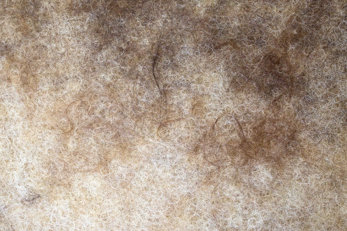 laetitia bourget dda centre val de loire