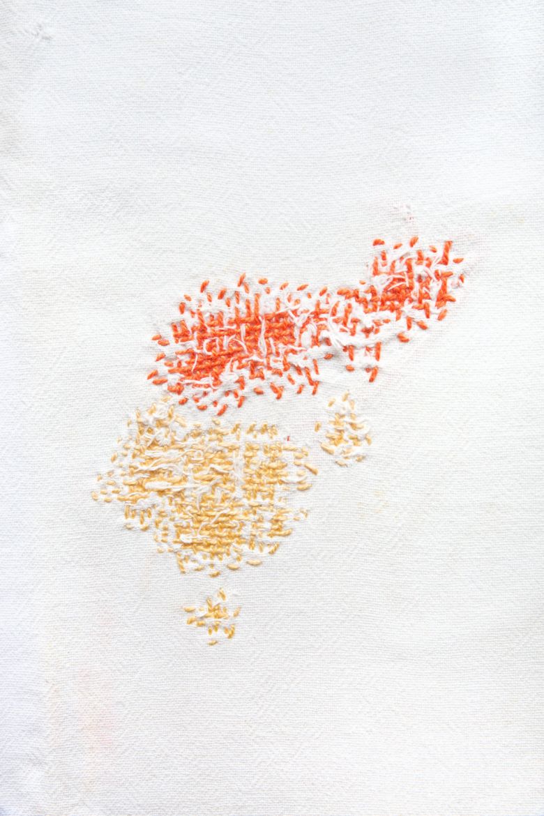 laetitia bourget dda centre val de loire